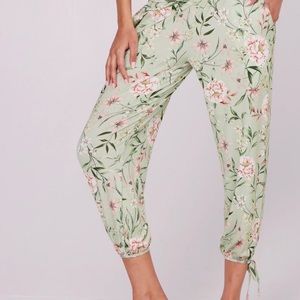 Onzie Gypsy Bella Pants